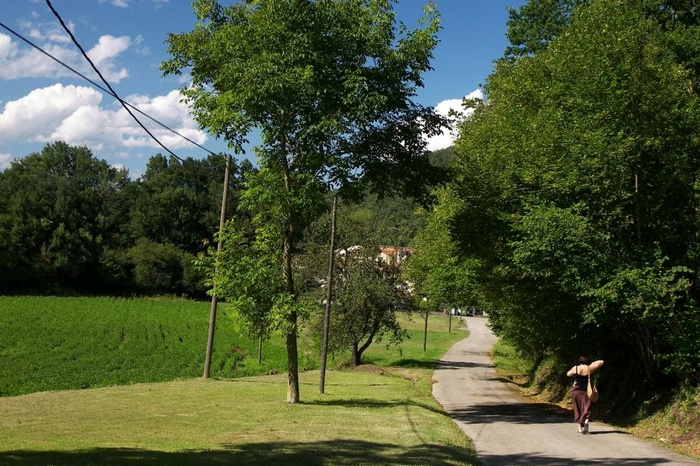 Country Walk