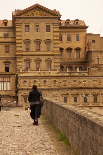Bridge to the Palace