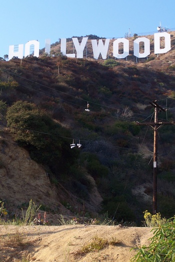 Hollywood Shoes