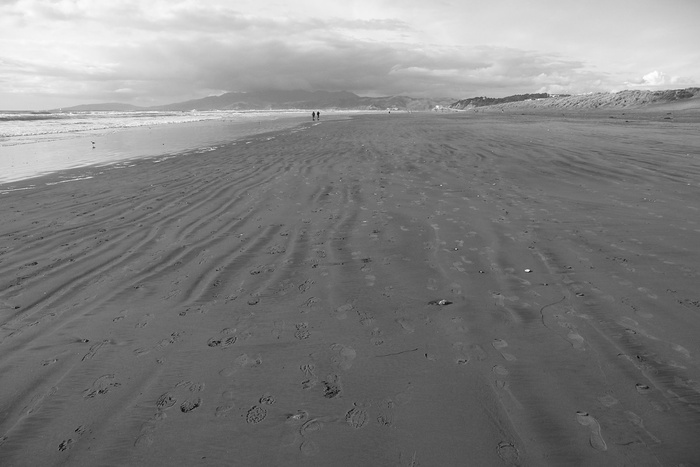 Back To Ocean Beach
