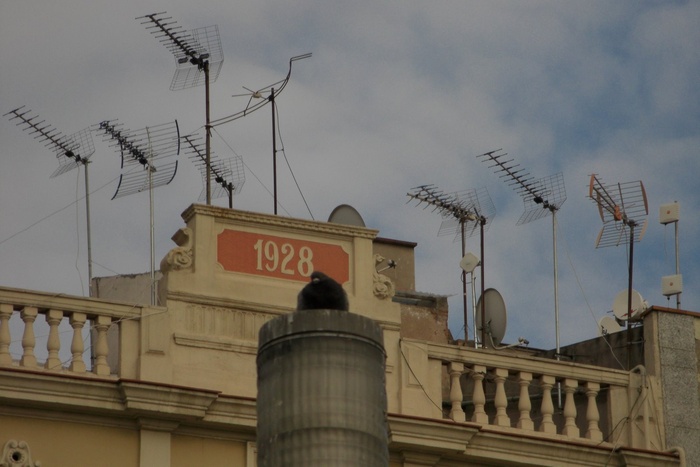 Antennae
