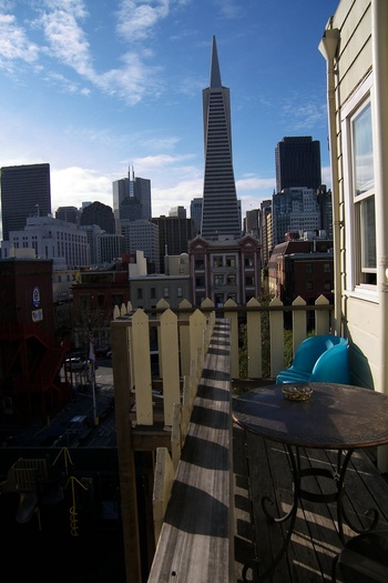 View From Tortoise