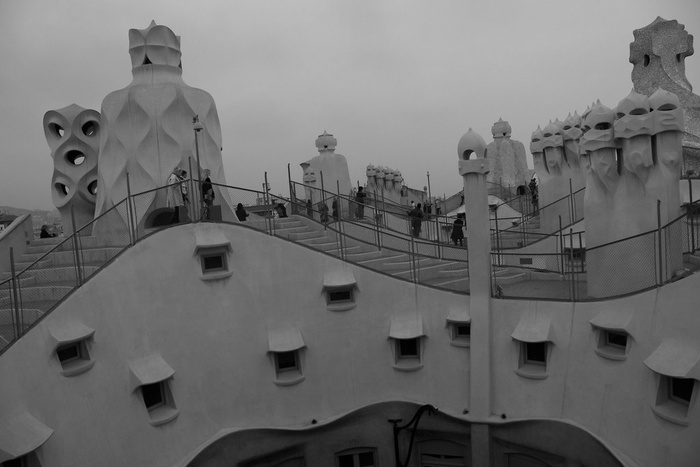 Roof And Windows
