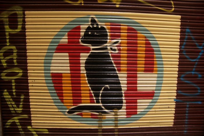 Cat Door