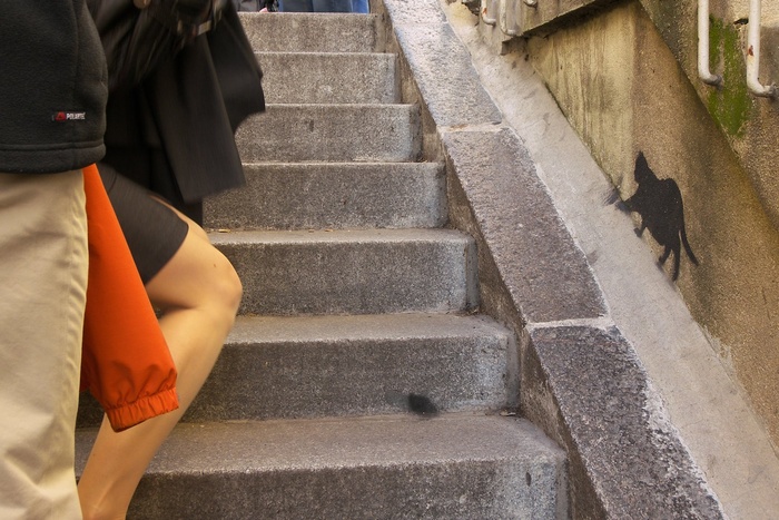 Paris Week: Cat and Legs
