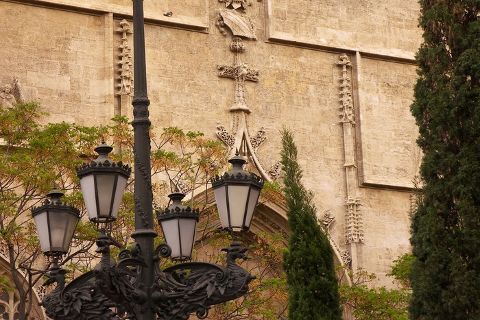 Wall, Tree and Lamp
