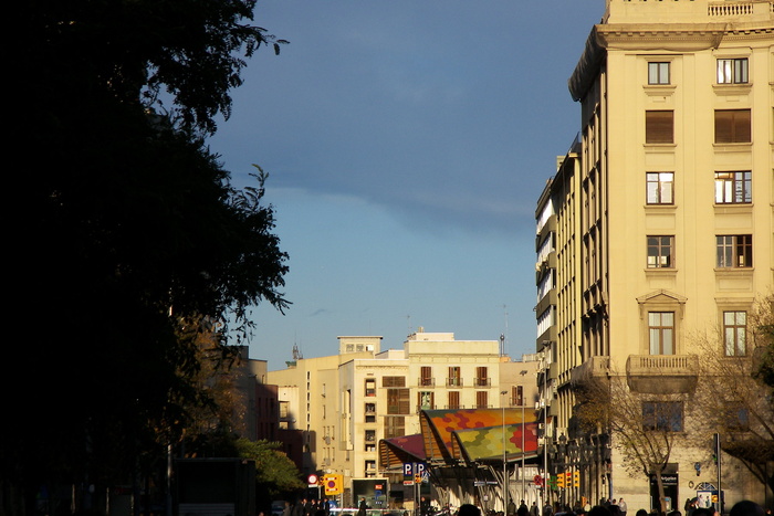 Santa Catarina from Catedral