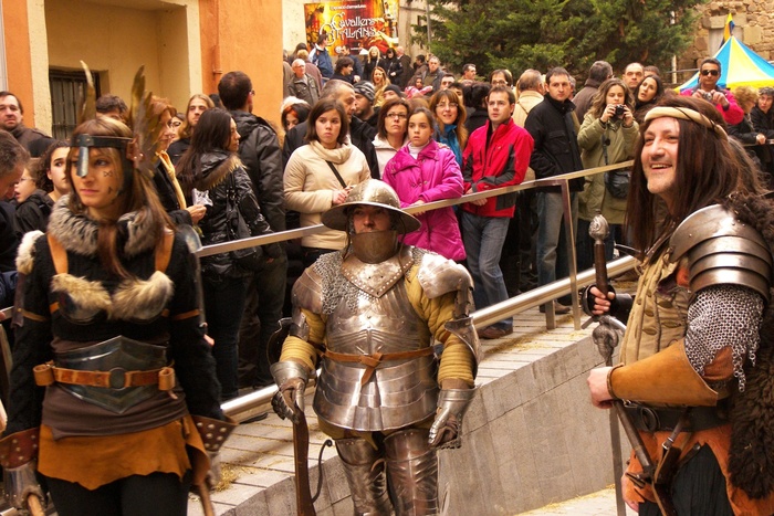 Knights in Armour