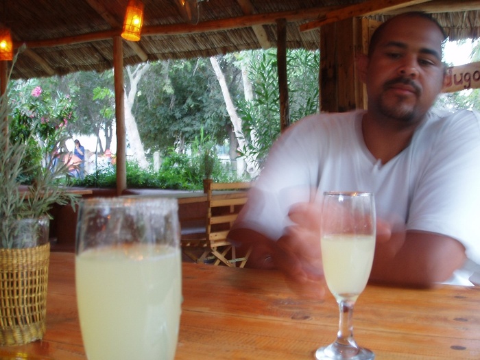 Pisco Sour
