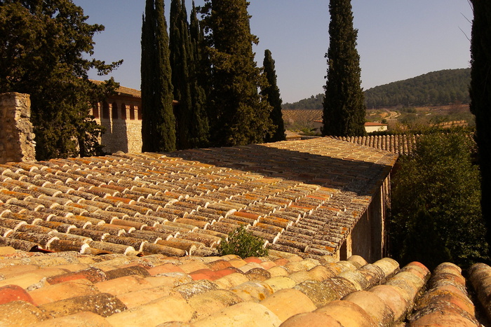 Catalan View
