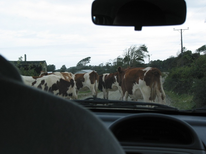 Road Block