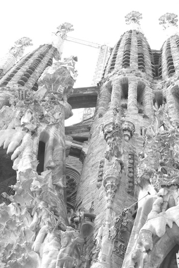 Barcelona White