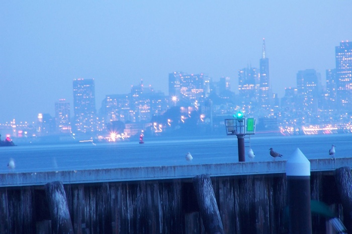 Bay