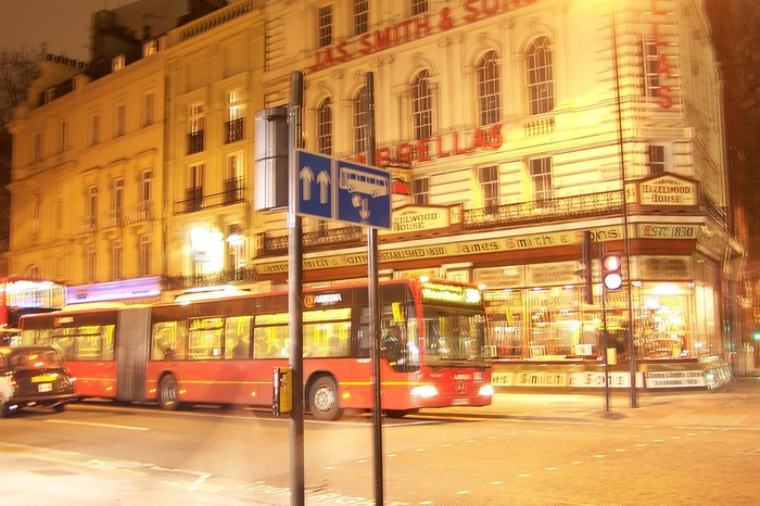 Bus