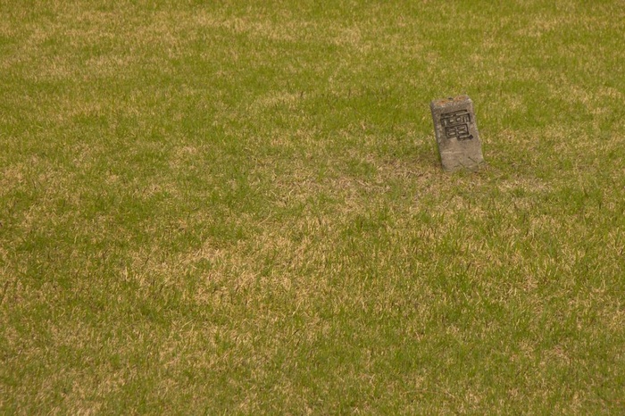 Grass Stone