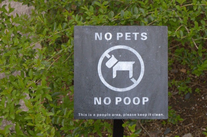No Pets No Poop