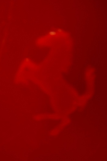 Prancing Horse