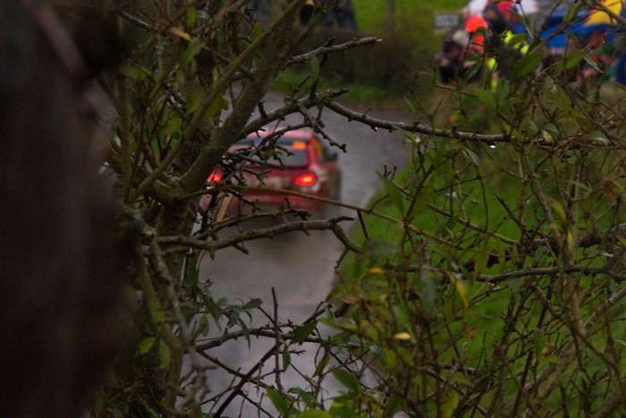 Rally Ireland (2)