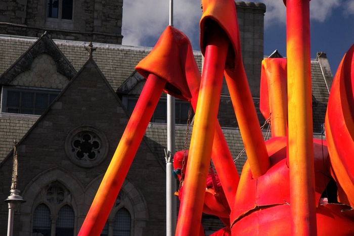 Spiders on Parade