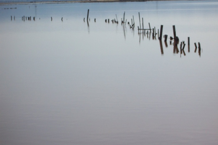 Water Poles