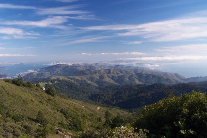 Bay by Day