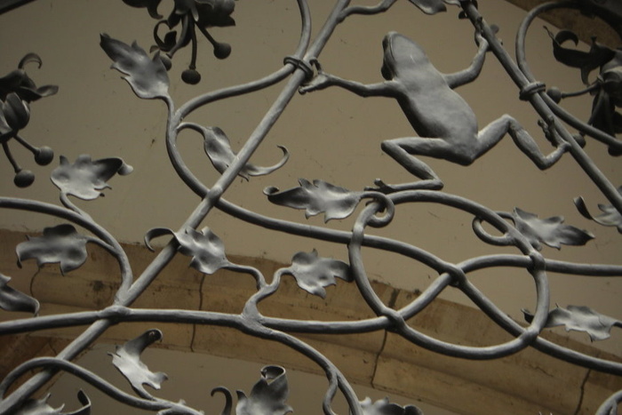 Frog