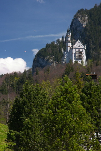 Neuscwwanstein Hill