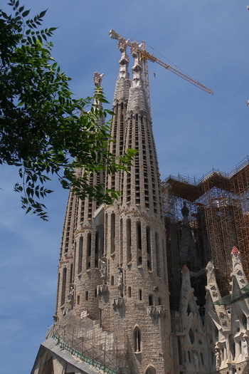 Trees, Towers, Cranes