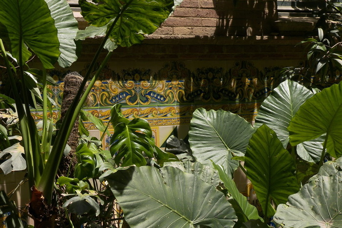 Sant Pau Plants