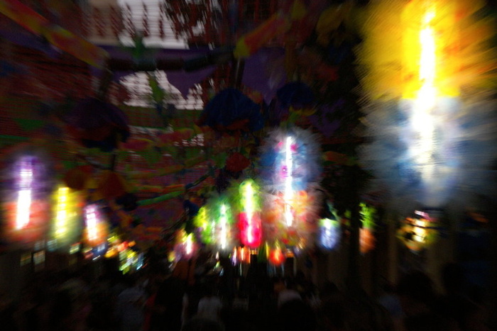 Forest of Lights