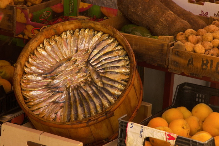 Fish