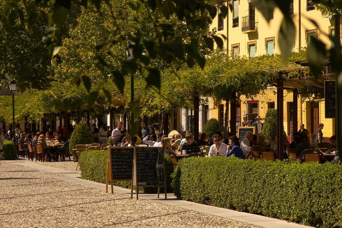 Coffee in the Shade