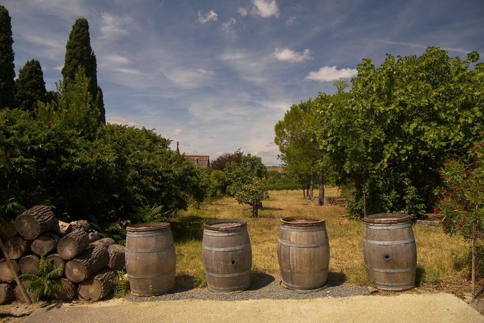 Four Barrels in a Field