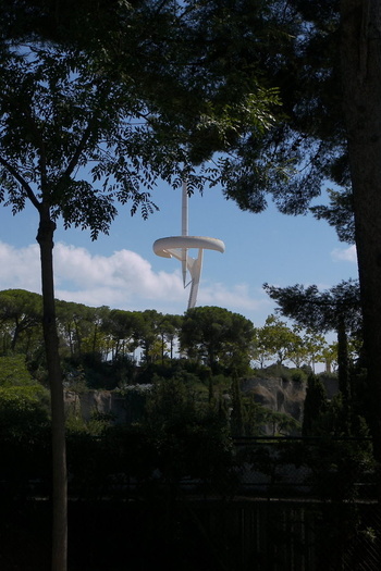 Needle