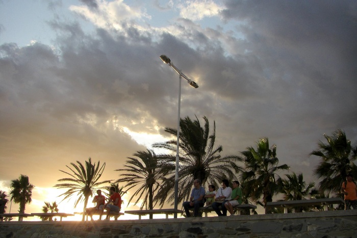 Palms And Sun