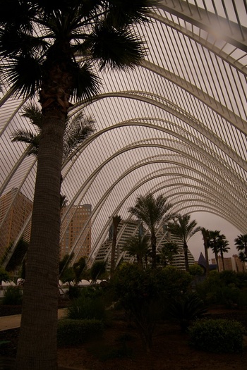 The Umbracle