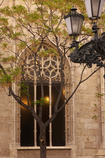 Tree, Lamp and Window