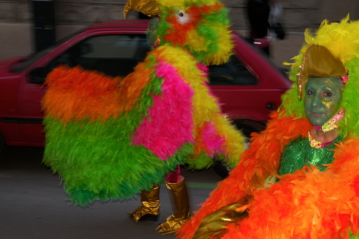 Birds