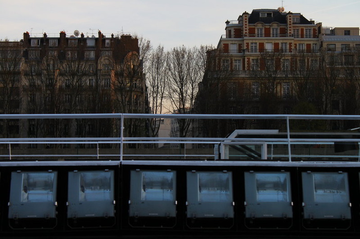 Seine Lights